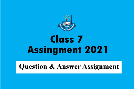 4th assignment class 7 pdf download